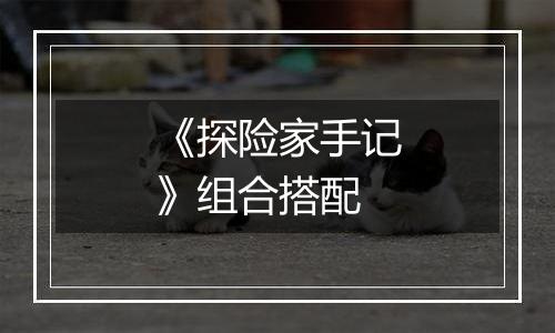 《探险家手记》组合搭配