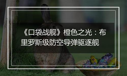 《口袋战舰》橙色之光：布里罗斯级防空导弹驱逐舰