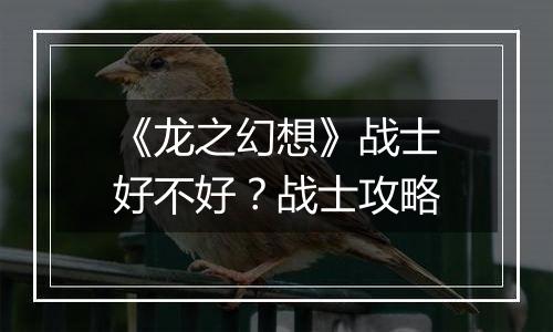 《龙之幻想》战士好不好？战士攻略