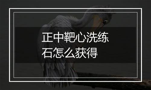 正中靶心洗练石怎么获得