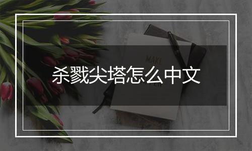 杀戮尖塔怎么中文