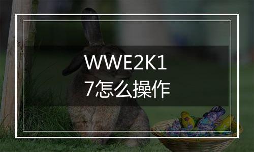 WWE2K17怎么操作