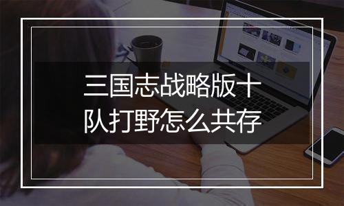 三国志战略版十队打野怎么共存