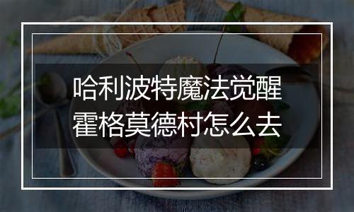 哈利波特魔法觉醒霍格莫德村怎么去