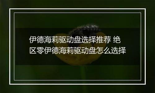 伊德海莉驱动盘选择推荐 绝区零伊德海莉驱动盘怎么选择
