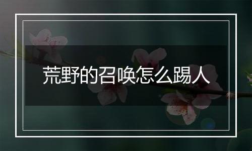 荒野的召唤怎么踢人