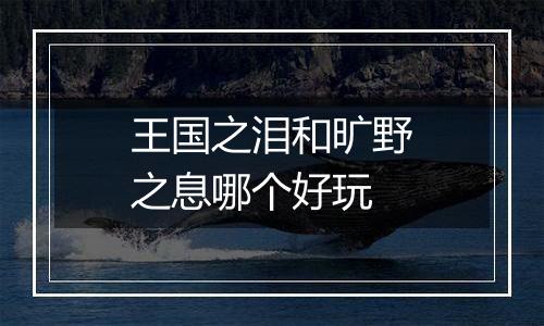 王国之泪和旷野之息哪个好玩