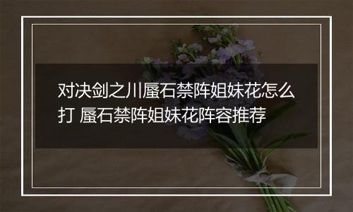 对决剑之川蜃石禁阵姐妹花怎么打 蜃石禁阵姐妹花阵容推荐