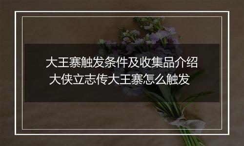 大王寨触发条件及收集品介绍 大侠立志传大王寨怎么触发