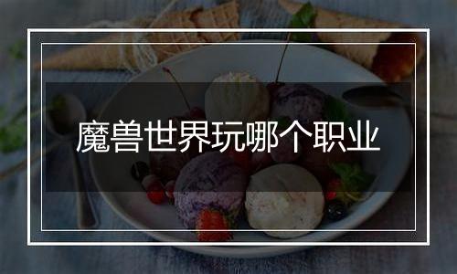 魔兽世界玩哪个职业