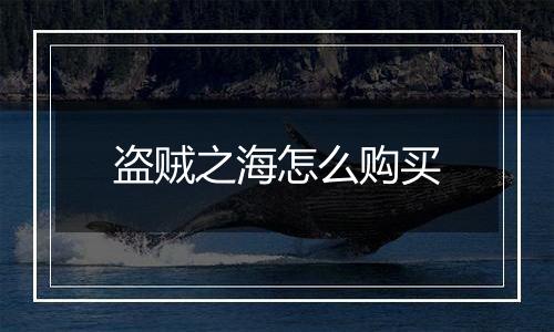 盗贼之海怎么购买