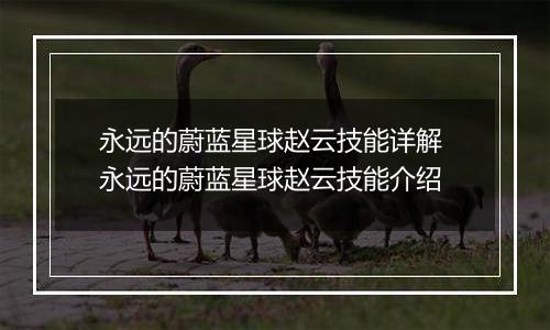 永远的蔚蓝星球赵云技能详解 永远的蔚蓝星球赵云技能介绍