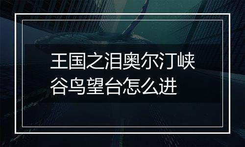 王国之泪奥尔汀峡谷鸟望台怎么进
