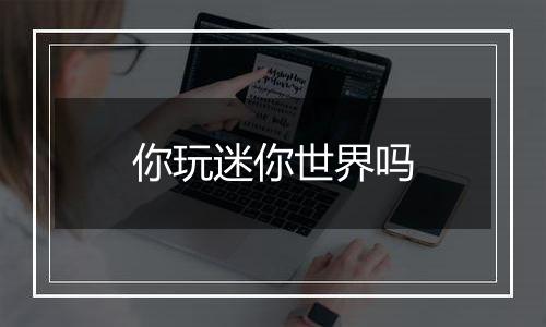 你玩迷你世界吗