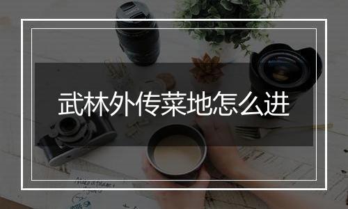 武林外传菜地怎么进