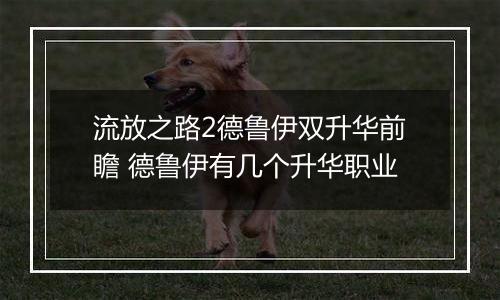 流放之路2德鲁伊双升华前瞻 德鲁伊有几个升华职业