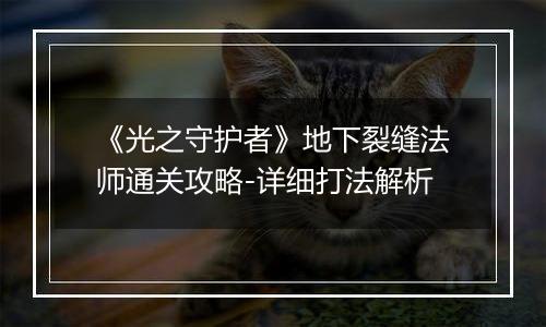 《光之守护者》地下裂缝法师通关攻略-详细打法解析