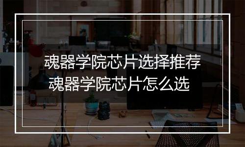 魂器学院芯片选择推荐 魂器学院芯片怎么选