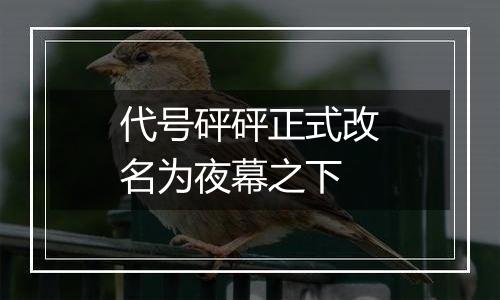 代号砰砰正式改名为夜幕之下