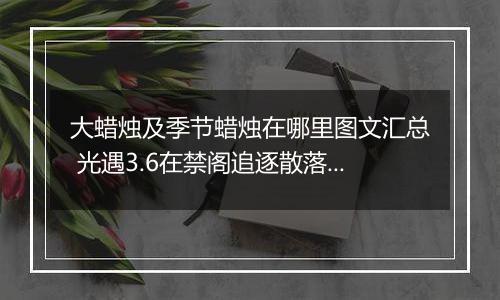 大蜡烛及季节蜡烛在哪里图文汇总 光遇3.6在禁阁追逐散落的星光任务攻略