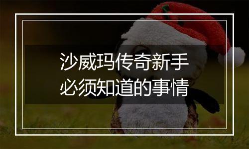沙威玛传奇新手必须知道的事情