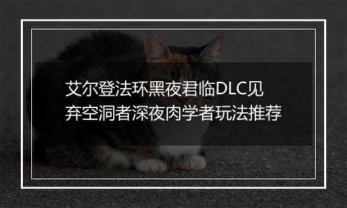 艾尔登法环黑夜君临DLC见弃空洞者深夜肉学者玩法推荐