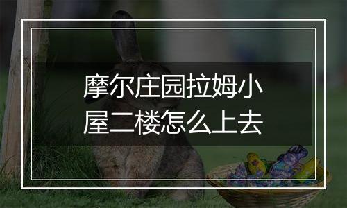 摩尔庄园拉姆小屋二楼怎么上去