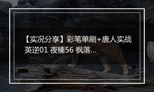 【实况分享】彩笔单刷+唐人实战 英逆01 夜榛56 枫落06