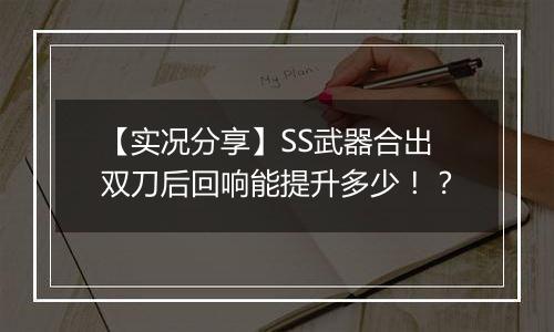 【实况分享】SS武器合出双刀后回响能提升多少！？
