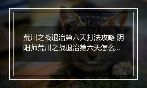 荒川之战退治第六天打法攻略 阴阳师荒川之战退治第六天怎么打