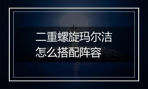 二重螺旋玛尔洁怎么搭配阵容