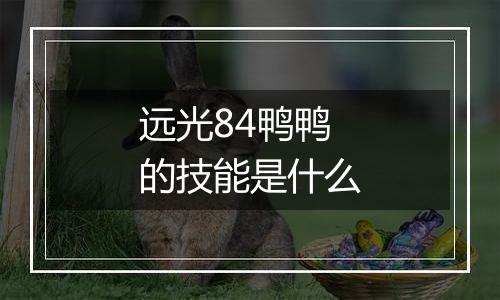 远光84鸭鸭的技能是什么