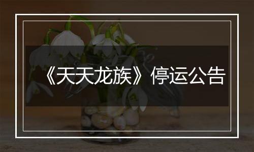 《天天龙族》停运公告