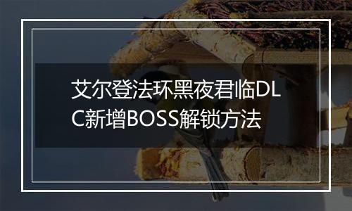 艾尔登法环黑夜君临DLC新增BOSS解锁方法