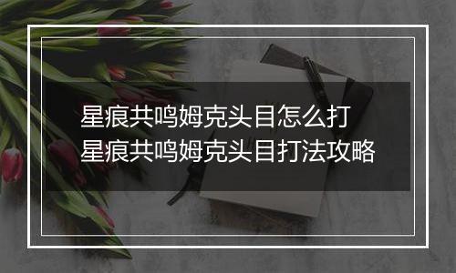 星痕共鸣姆克头目怎么打 星痕共鸣姆克头目打法攻略