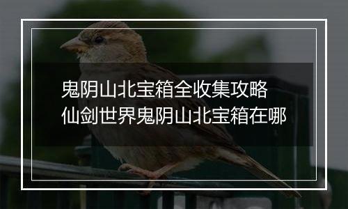 鬼阴山北宝箱全收集攻略 仙剑世界鬼阴山北宝箱在哪