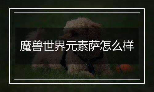 魔兽世界元素萨怎么样