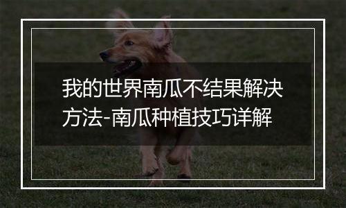 我的世界南瓜不结果解决方法-南瓜种植技巧详解