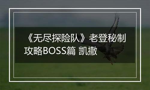 《无尽探险队》老登秘制攻略BOSS篇 凯撒