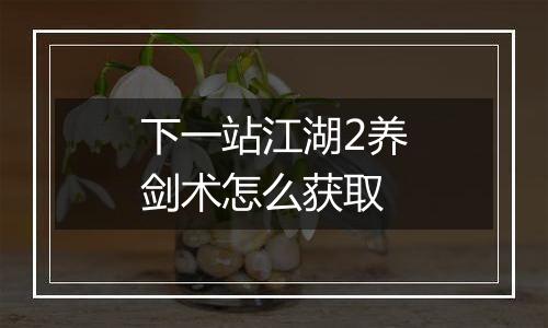 下一站江湖2养剑术怎么获取