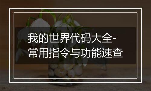 我的世界代码大全-常用指令与功能速查