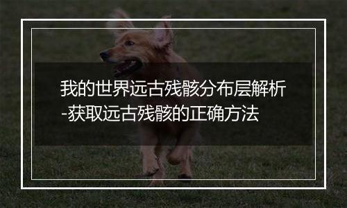 我的世界远古残骸分布层解析-获取远古残骸的正确方法