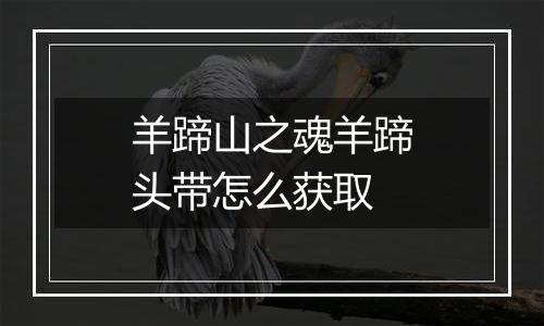 羊蹄山之魂羊蹄头带怎么获取