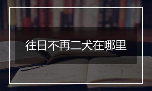 往日不再二犬在哪里