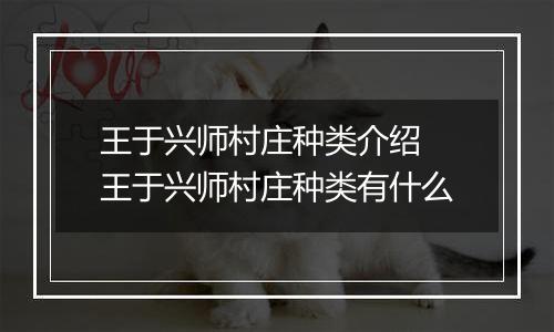 王于兴师村庄种类介绍 王于兴师村庄种类有什么