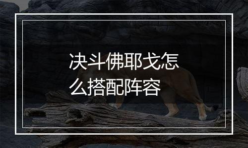 决斗佛耶戈怎么搭配阵容