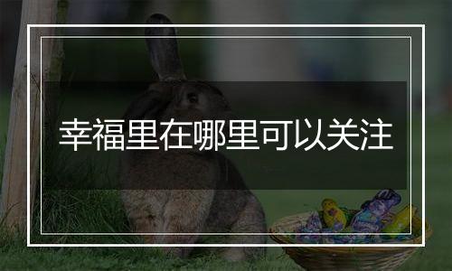 幸福里在哪里可以关注