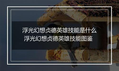浮光幻想贞德英雄技能是什么 浮光幻想贞德英雄技能图鉴