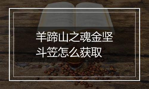 羊蹄山之魂金坚斗笠怎么获取