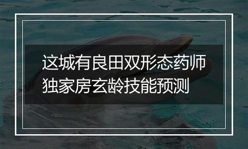 这城有良田双形态药师独家房玄龄技能预测